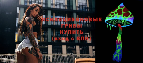 тгк Алексеевка