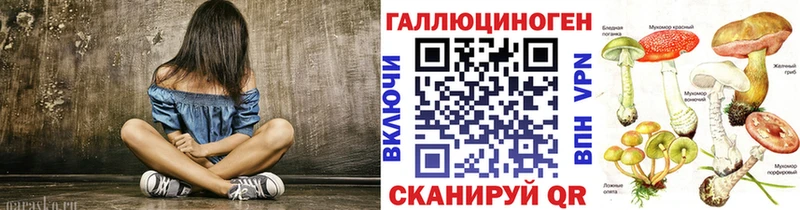 Псилоцибиновые грибы Psilocybine cubensis купить сайты Могоча